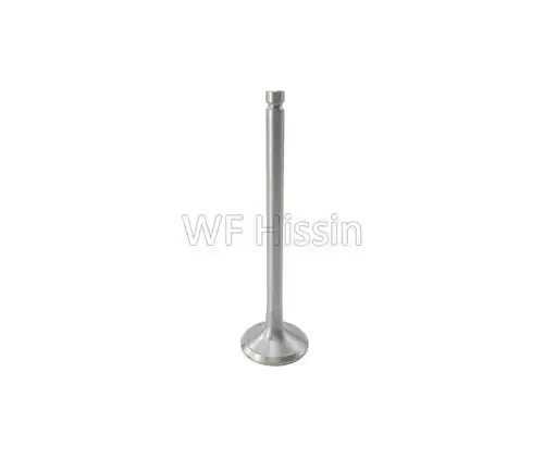 Exhaust valve Y385 Y485